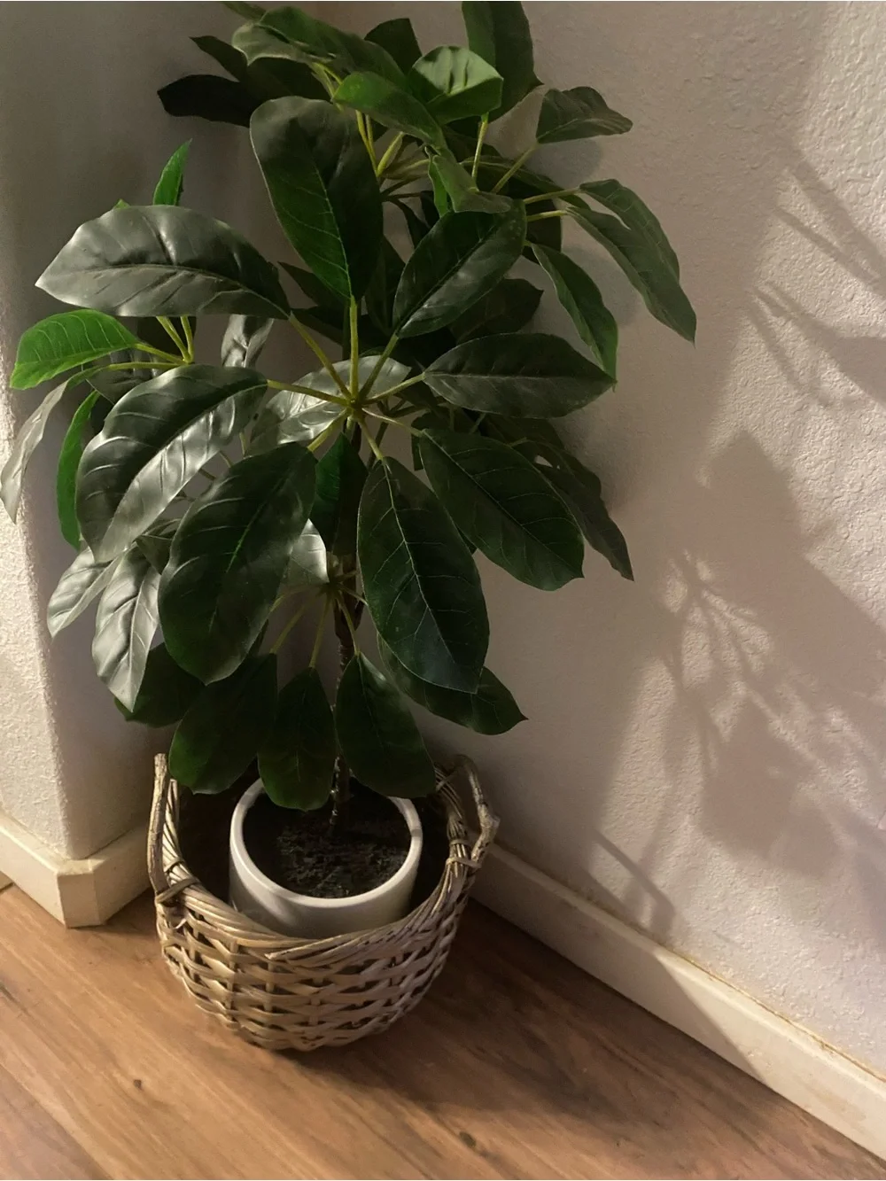 Faux Umbrellas Tree plant in Rattan Plant Basket with Handles